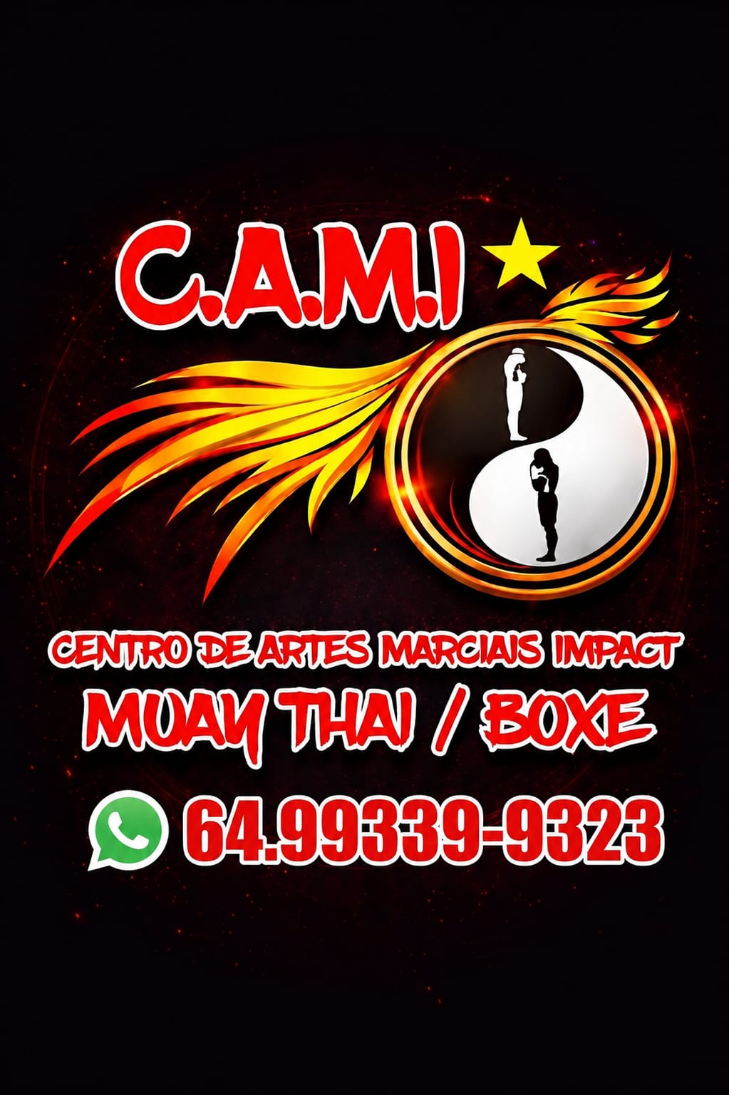 ASSOCIACAO DE ARTES MARCIAIS DE MORRINHOS - AAMM