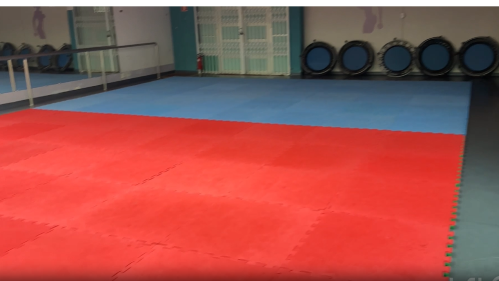 ASSOCIACAO PROJETO ARCHIMEDES - ESCOLA DE JIU-JITSU